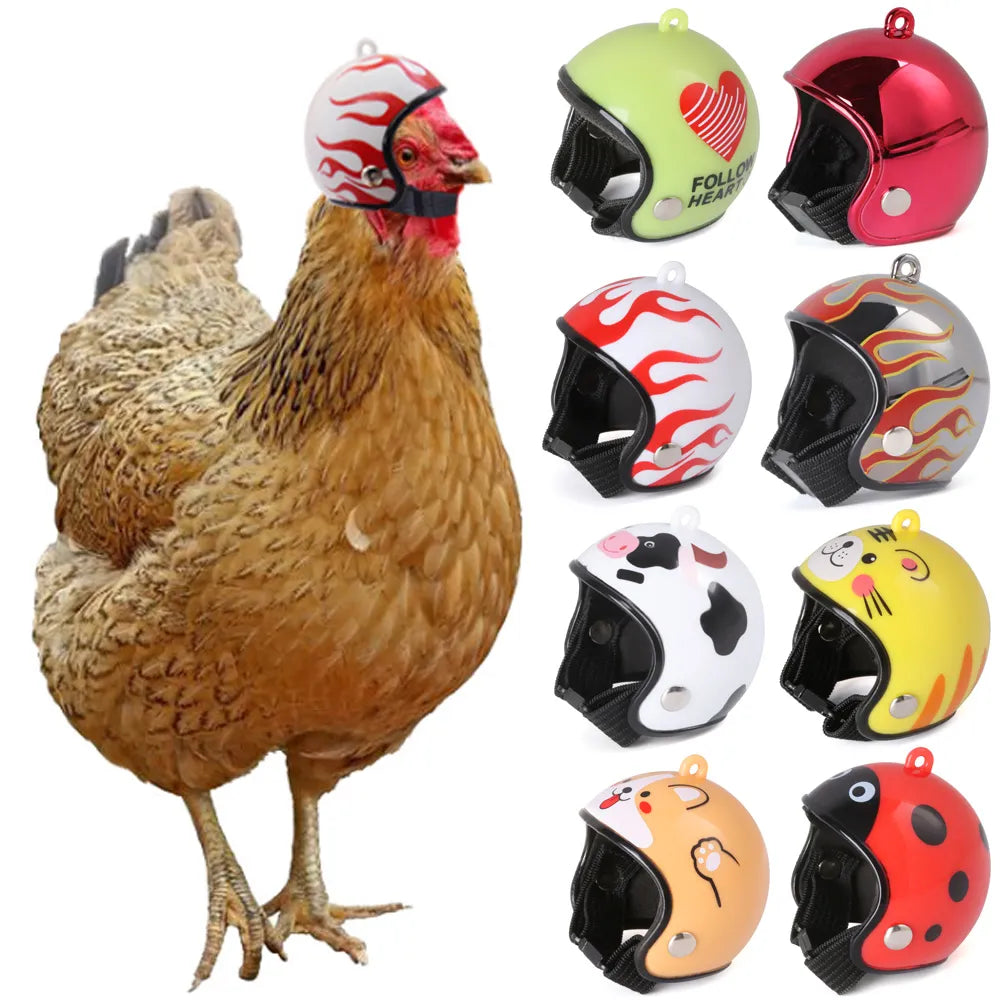 Casque Pour Poule
