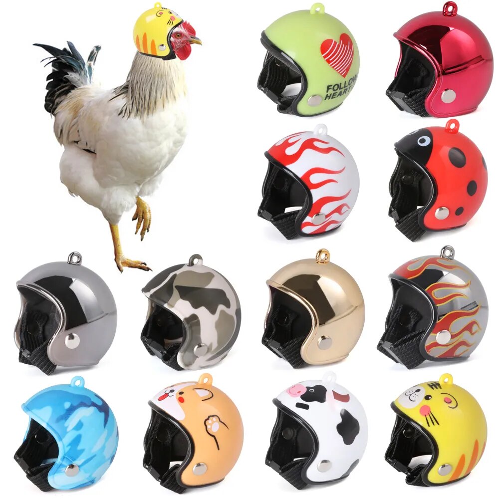 Casque Pour Poule