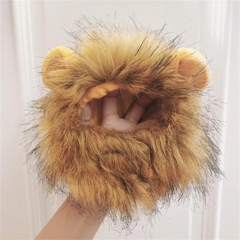 Crinière de lion pour chat