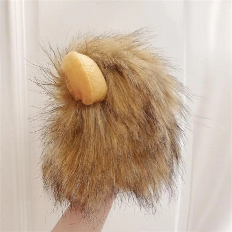 Lion's Mane for Cats