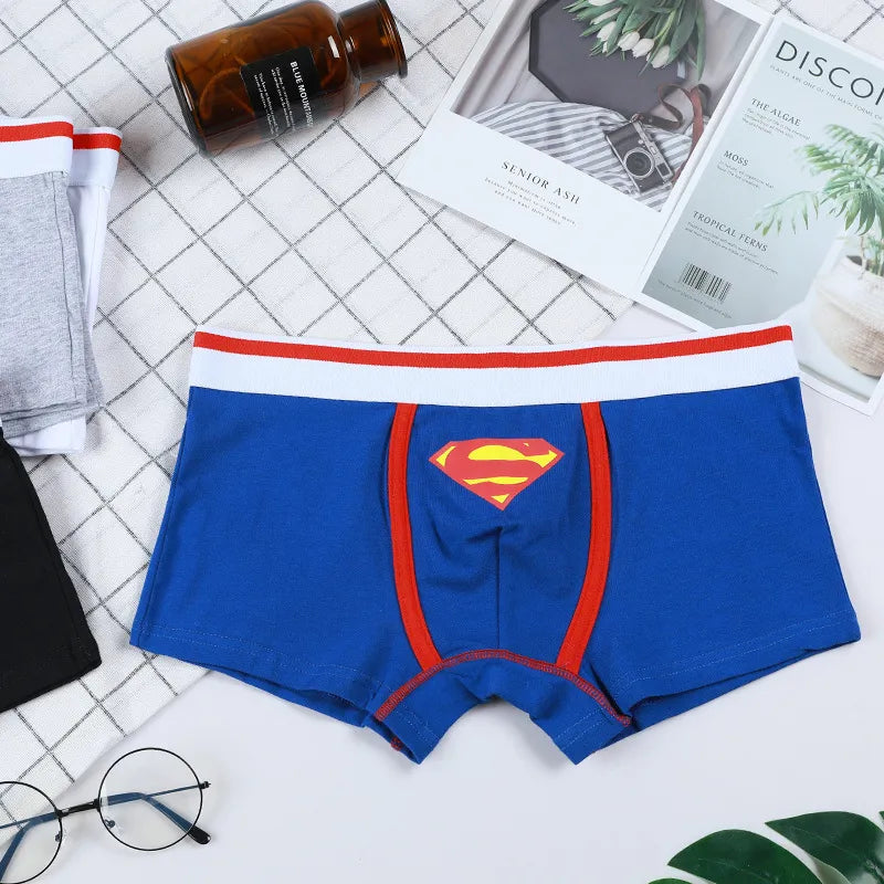 Slip De Bain Superman